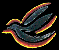 colorbird